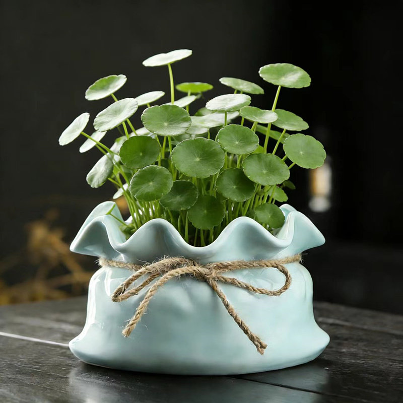 创意个性仿布袋铜钱草花盆水仙绿萝盆无孔陶瓷家用一叶碗莲水培盆