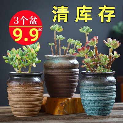 香缘多肉绿植花盆大口径粗陶透气