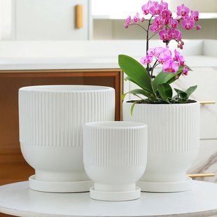 北欧风陶瓷花盆瘦高款带分离托盘桌面客厅办公室蝴蝶兰绿植大花盆