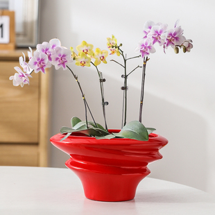 红色蝴蝶兰花盆轻奢高级感家用陶瓷拼组花盆高端兰花专用花盆包邮