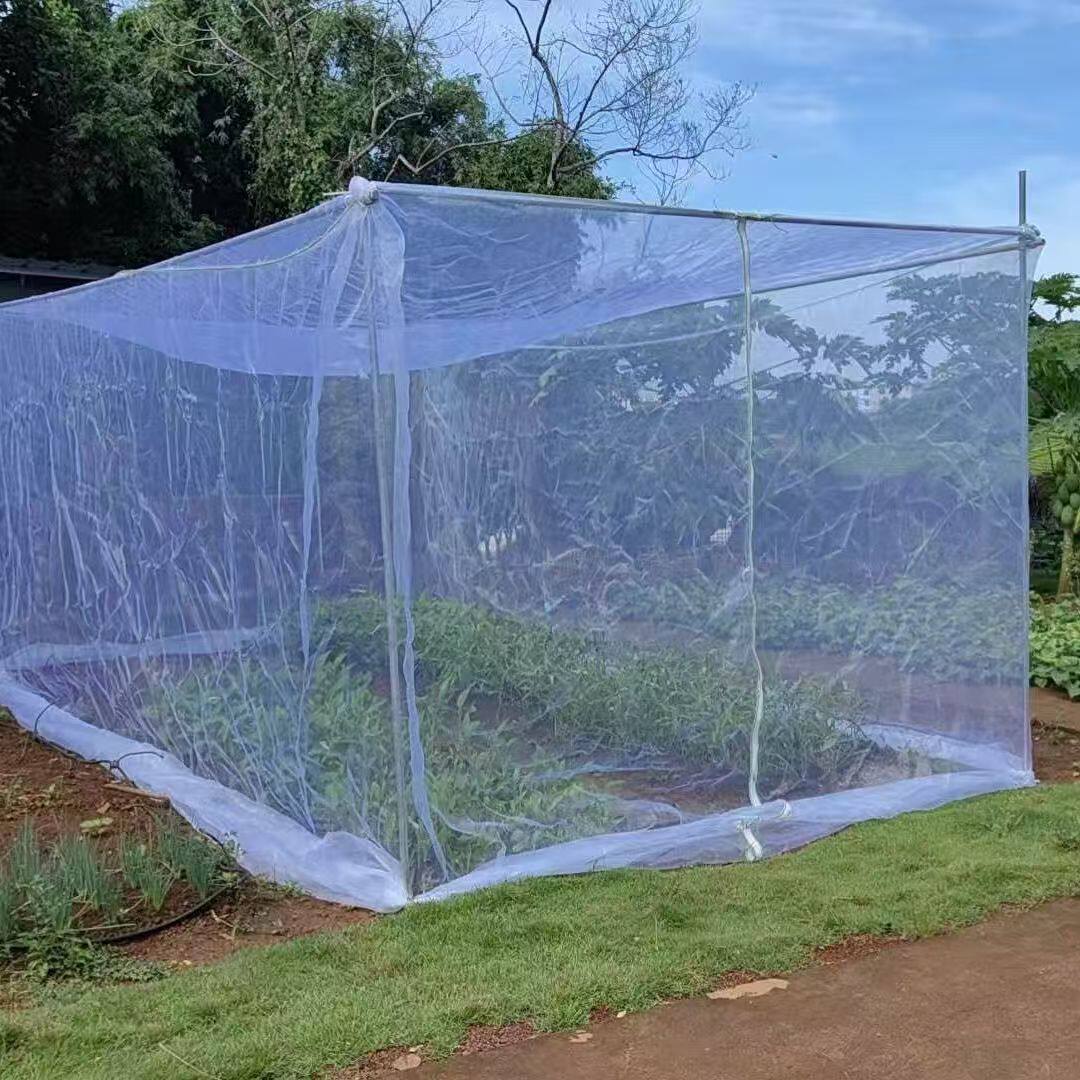 防虫网大棚网片网罩定做防虫防鸟莲雾桃树蓝莓家用网罩防苍蝇网