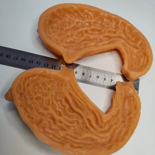 胃吻合普外外科腹腔镜模拟训练缝合剪切练习3D模块模型