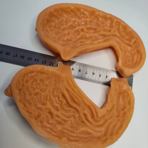 胃吻合普外外科腹腔镜模拟训练缝合剪切练习3D模块模型