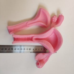 妇科宫腔镜外科腹腔镜剪切缝合剥离训练练习硅胶3D仿生模块模型