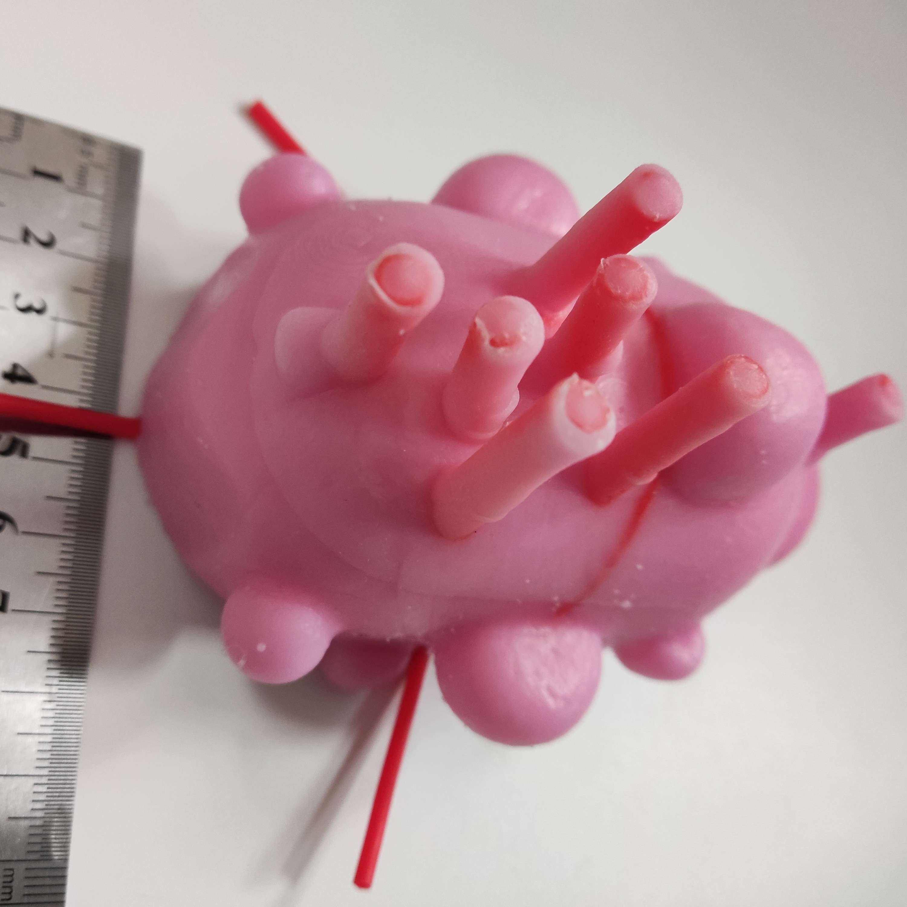 外科医学普外妇产科泌尿心胸腹腔镜肿瘤肌瘤缝合硅胶训练模块模型