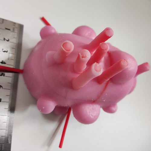 外科医学普外妇产科泌尿心胸腹腔镜肿瘤肌瘤缝合硅胶训练模块模型