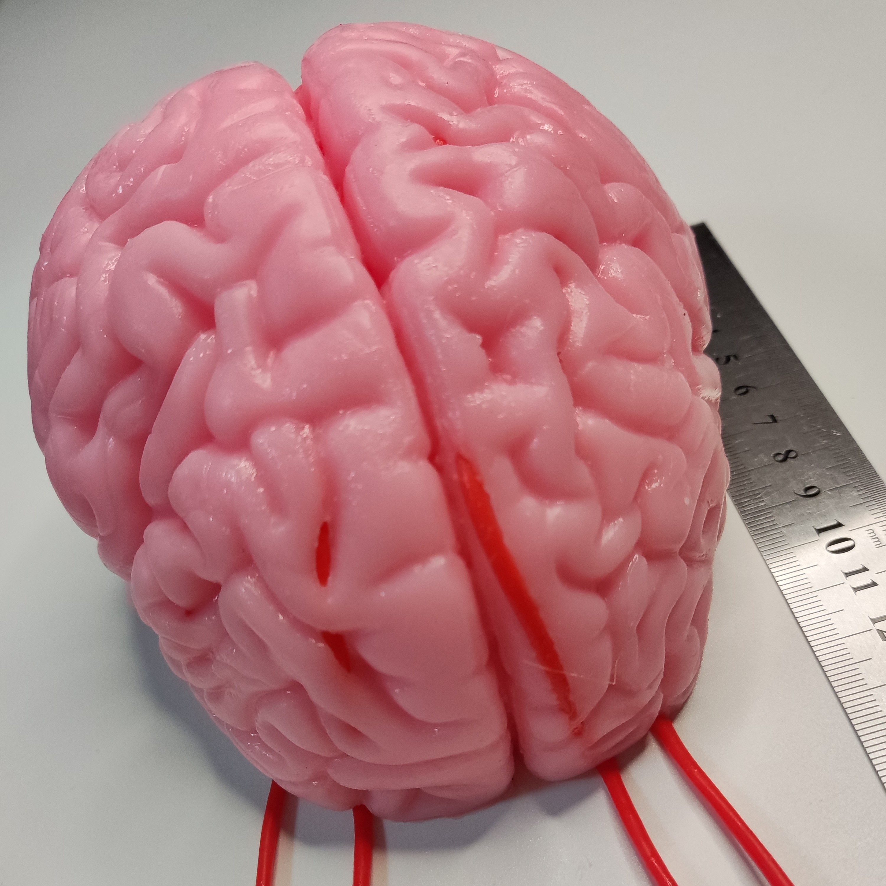 脑外显微模块模型