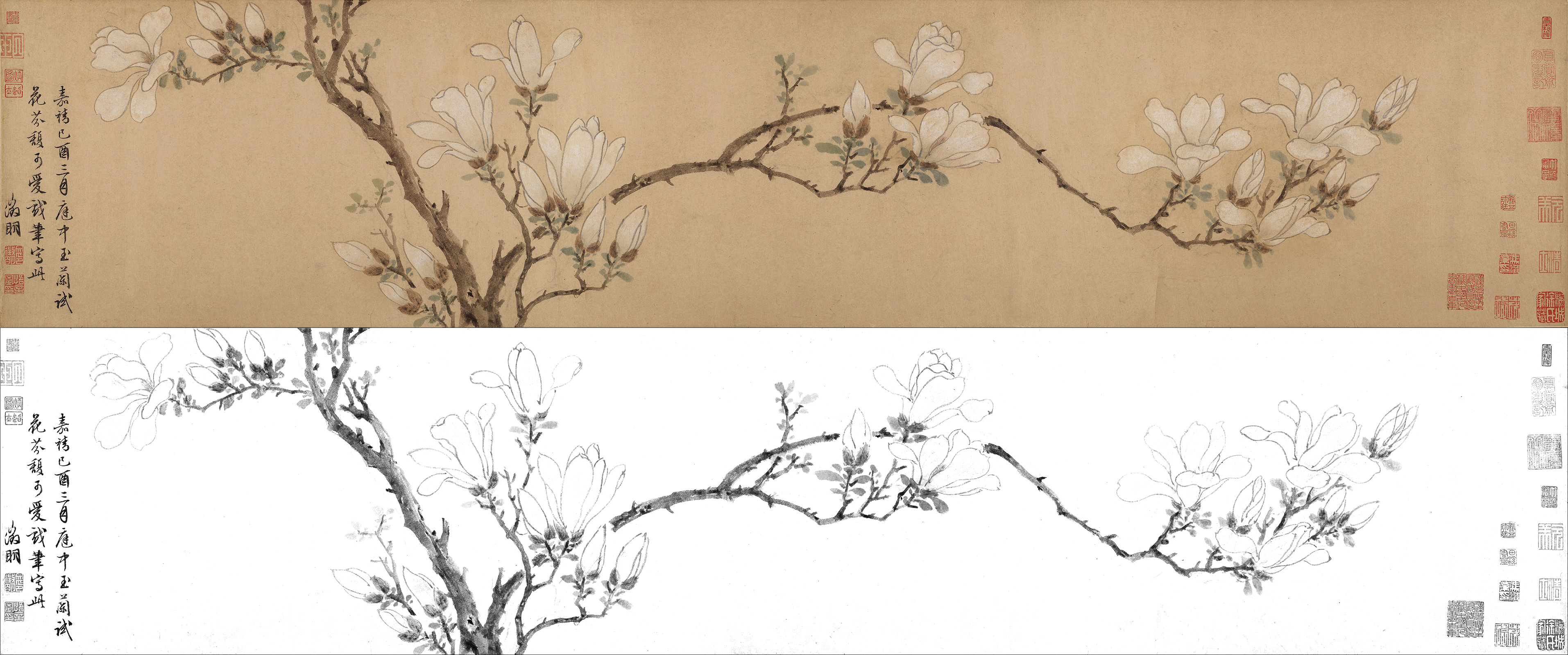 明代文征明玉兰图国画名画花鸟画临摹底稿画芯客厅装饰画名人字画