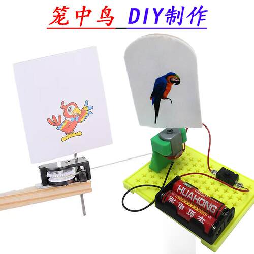 笼中鸟科技小制作DIY手工材料包