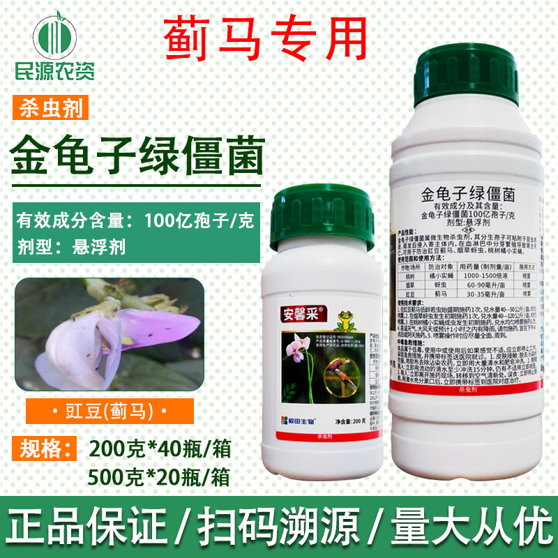 毅田安馨采金龟子绿僵菌苗豇豆桃树蚜虫针蜂蓟马专用药杀虫剂农药