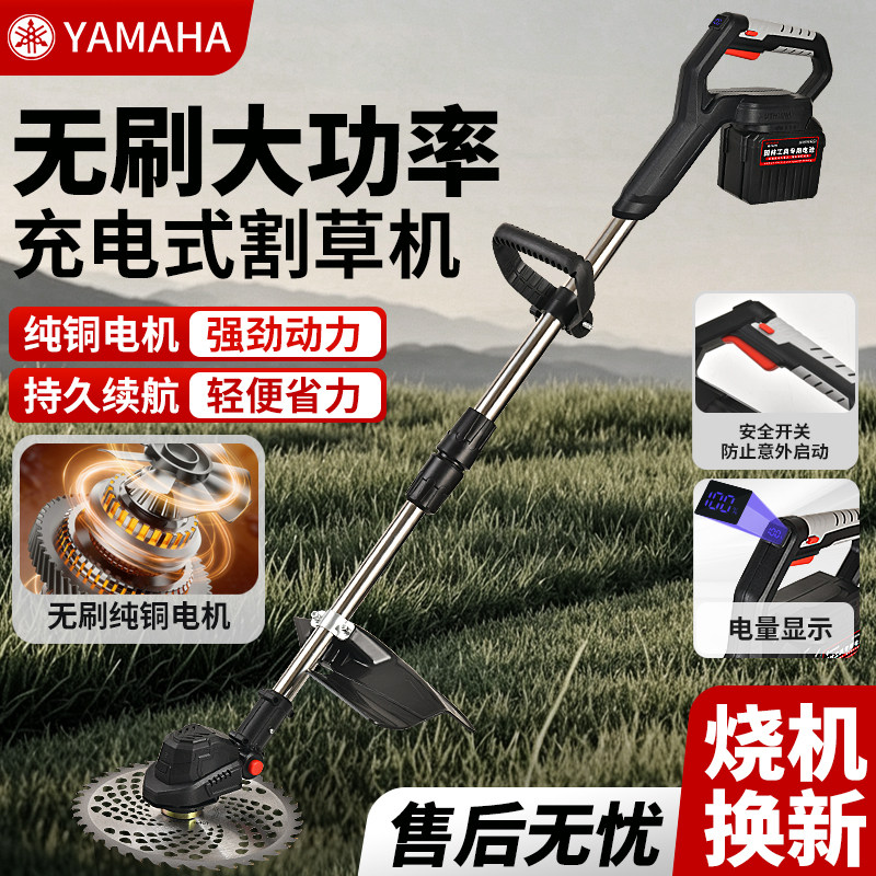雅马哈电动割草机大功率锂电池图片