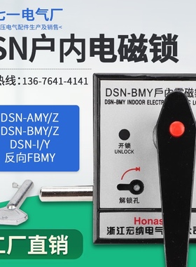 户内高压电磁锁DSN-BMY/BMZ/AMY/AMZ反向FBMY配电柜变压器门锁IY