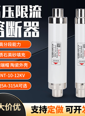 高压熔断器10KV限流熔断管XRNT10-12KV10A20A40A50A63A100保险丝