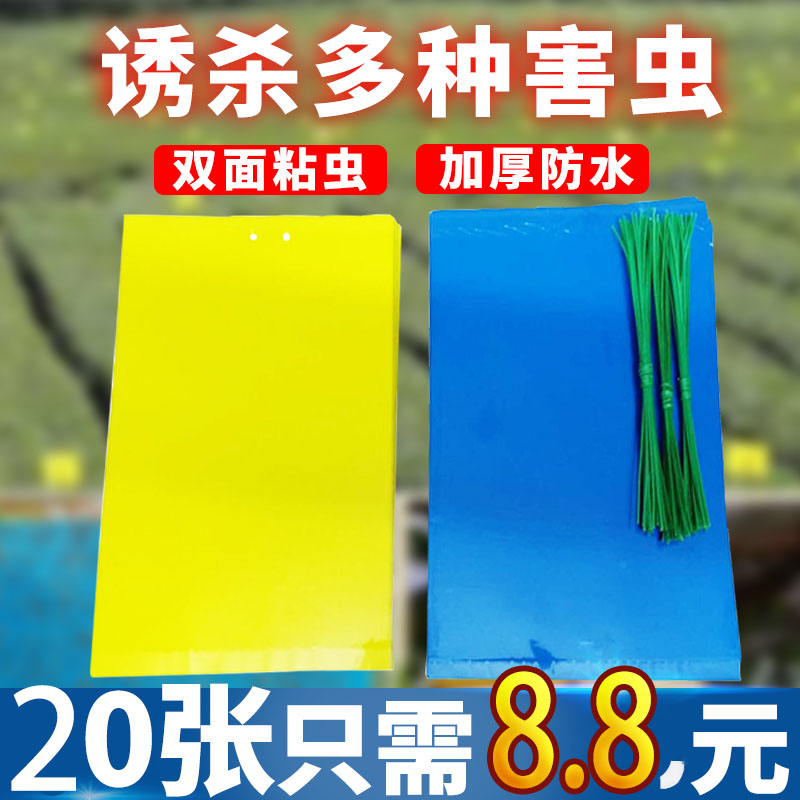 大棚果园花园专用黄板粘虫蓝板双面特粘粘虫板诱虫板灭小飞虫果蝇