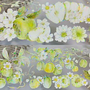 悠白青梦 茶犁新品花朵水果背景装饰胶带PET贝壳光小清新手帐素材