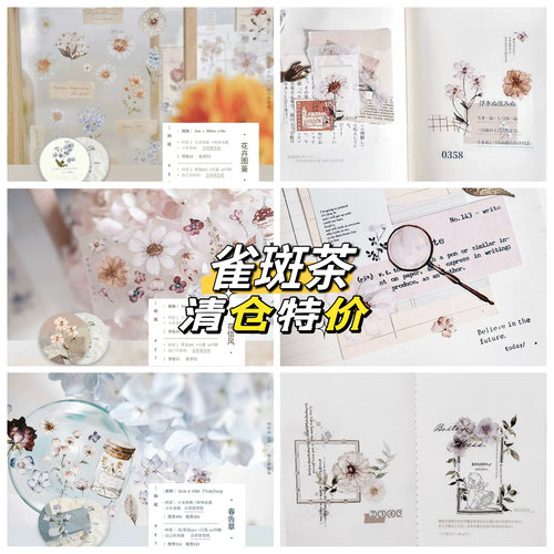 【整卷特价】雀斑茶花卉图鉴花信风春告草台产PET手帐胶带盐系素