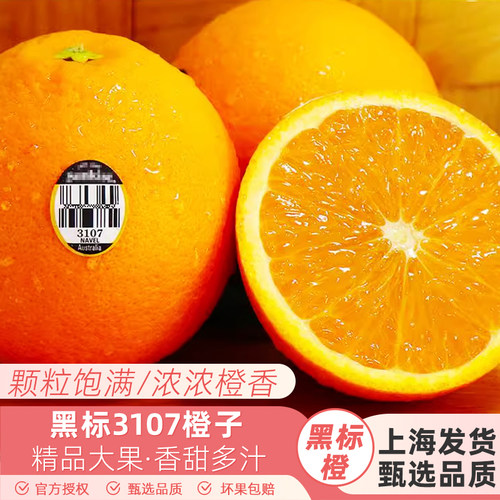 黑标3107橙子当季新鲜水果脐橙多汁大果包邮