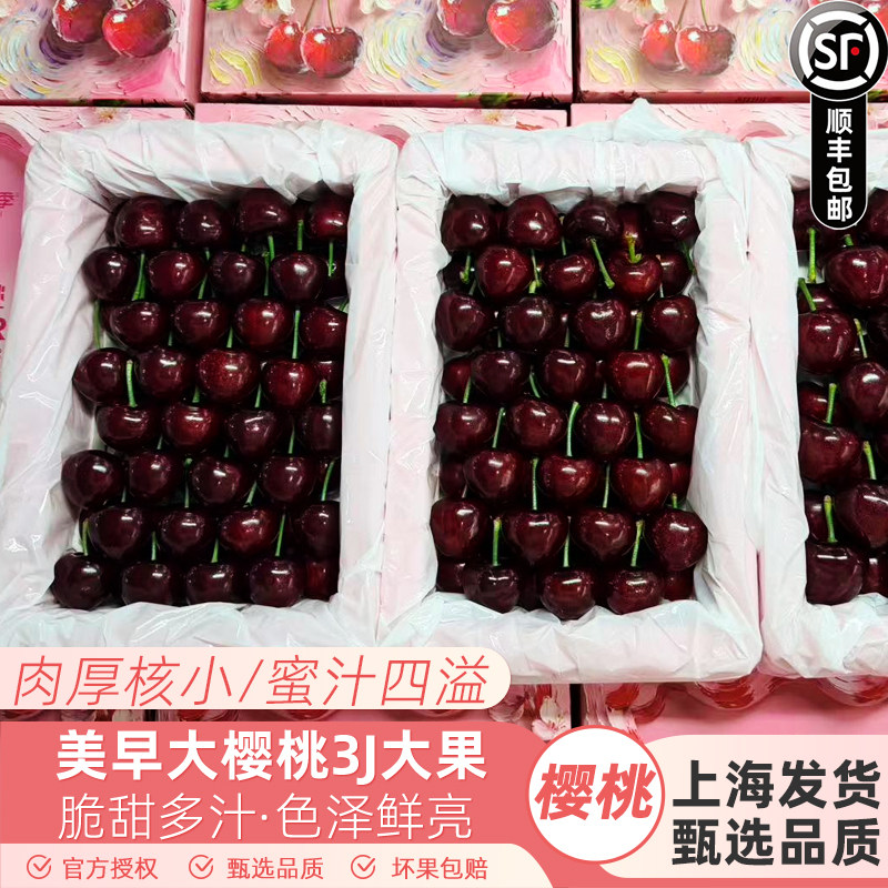 顺丰空运3J美早樱桃大连新鲜脆甜水果当季车厘子包邮整箱礼盒3j大