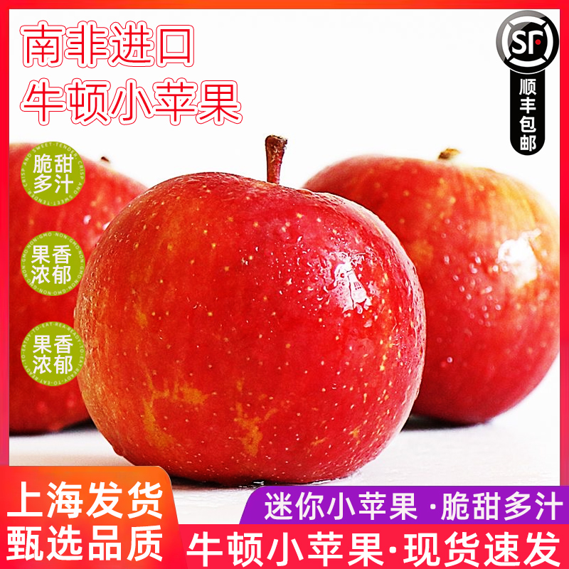 南非牛顿小苹果新鲜水果 脆甜进口加力嘎啦富士迷你冰糖苹果顺丰