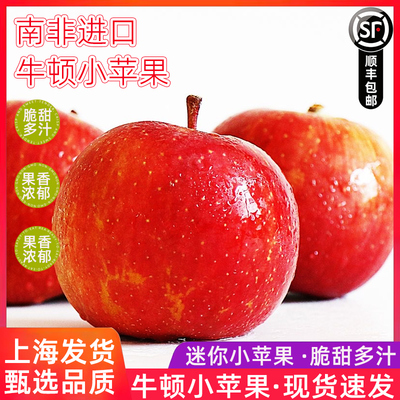 南非牛顿小苹果新鲜水果 脆甜进口加力嘎啦富士迷你冰糖苹果顺丰