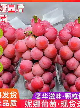 妮娜皇后葡萄礼盒3~4串当季新鲜罗马红宝石晴王特级无籽红提顺丰