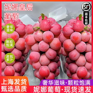 妮娜皇后葡萄礼盒3~4串当季新鲜罗马红宝石晴王特级无籽红提顺丰