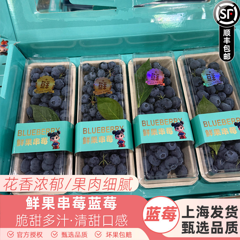 大连鲜果串莓新鲜蓝莓鲜果250g/盒 清甜多汁新鲜带枝蓝莓顺丰包邮