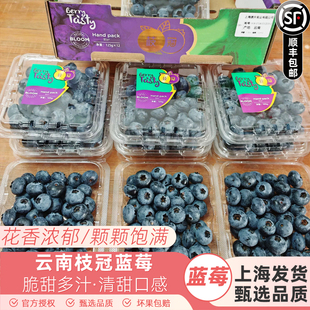 云南枝冠蓝莓鲜果大果新鲜孕妇水果辅食花香L25蓝莓水果顺丰