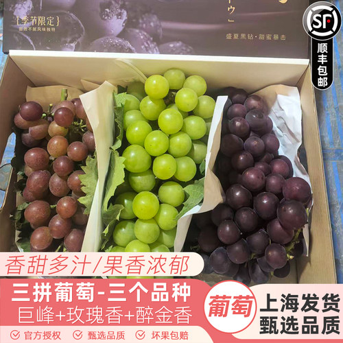 马陆巨峰葡萄+玫瑰香+醉金香三拼葡萄黑珍珠巨峰礼盒5斤水果顺丰