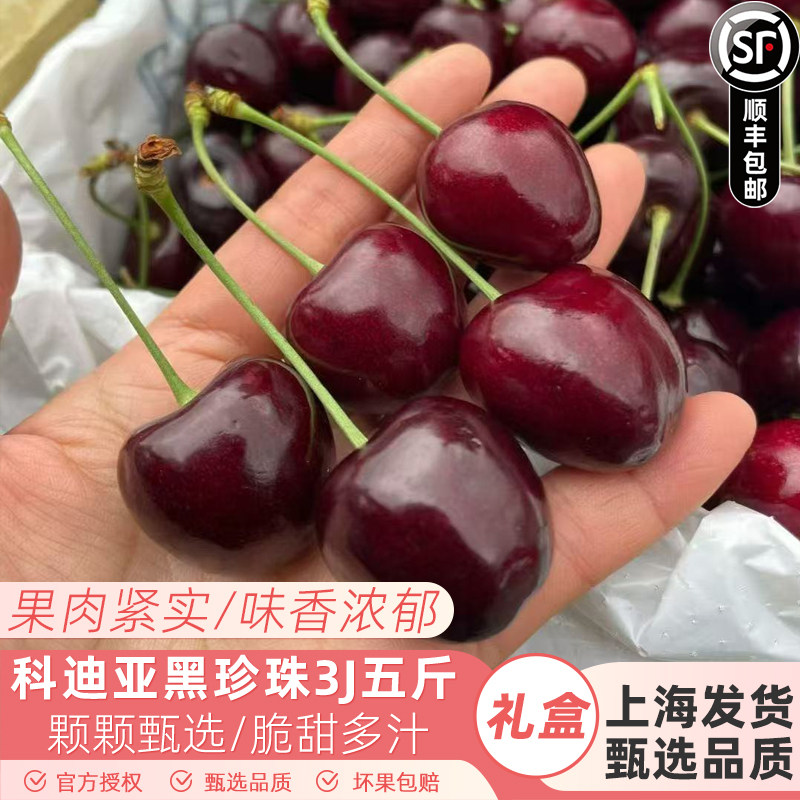 科迪亚kordia智利车厘子大樱桃进口新鲜水果孕妇水果礼盒顺丰包邮,水产肉类/新鲜蔬果/熟食,车厘子/樱桃,淘宝优惠券,粉丝福利购,淘宝优惠卷