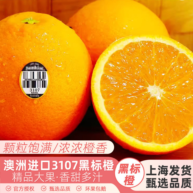 澳洲进口黑标橙3107橙子5斤当季新鲜水果脐橙橙子多汁大果包邮图片