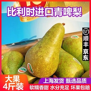 啤梨进口比利时啤梨大果4斤软糯香甜荷兰青啤梨新鲜水果包邮