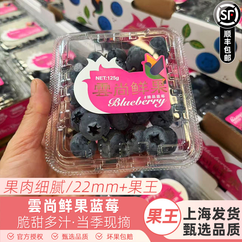 云南雲尚鲜果超甜蓝莓特大果125g/盒护眼当季新鲜脆甜蓝莓果顺丰