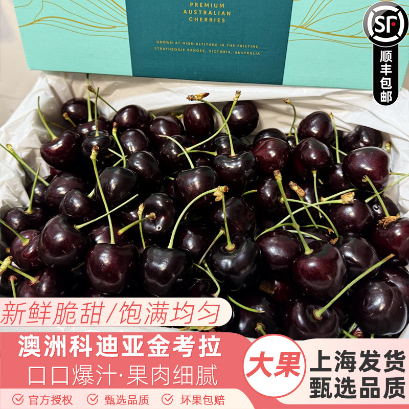 澳洲空运金考拉高山果园科迪亚车厘子新鲜水果大樱桃当季整箱礼盒,水产肉类/新鲜蔬果/熟食,车厘子/樱桃,淘宝优惠券,粉丝福利购,淘宝优惠卷