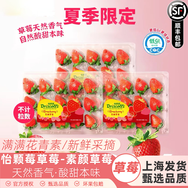 云南草莓怡颗莓云南素颜草莓当季新鲜水果280g/盒 饱满多汁发顺丰