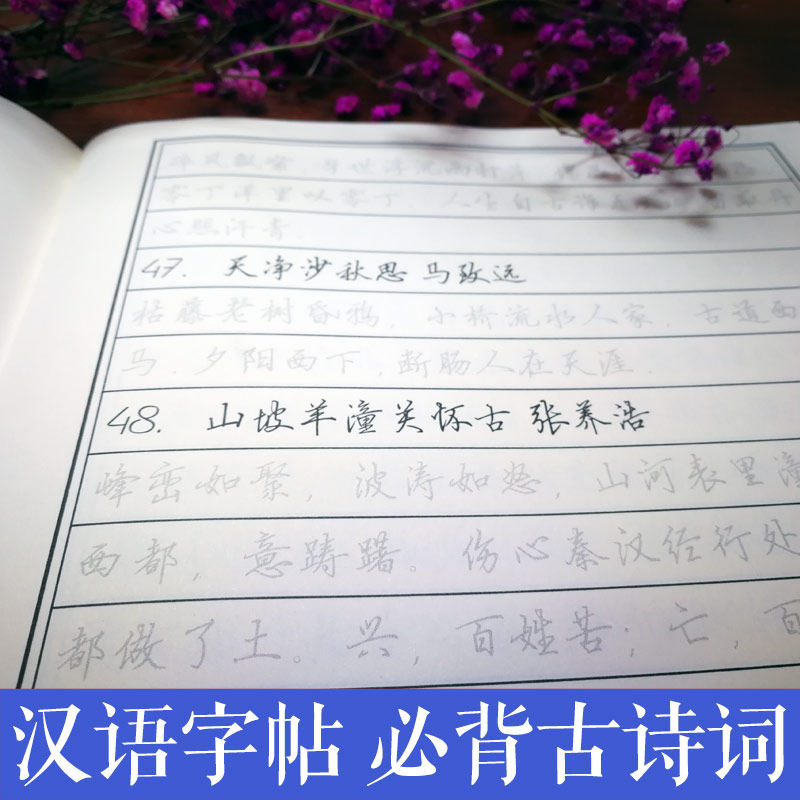 古风双笙必考古诗词 中学生中考高考诗词名句行楷书字帖 女神字帖