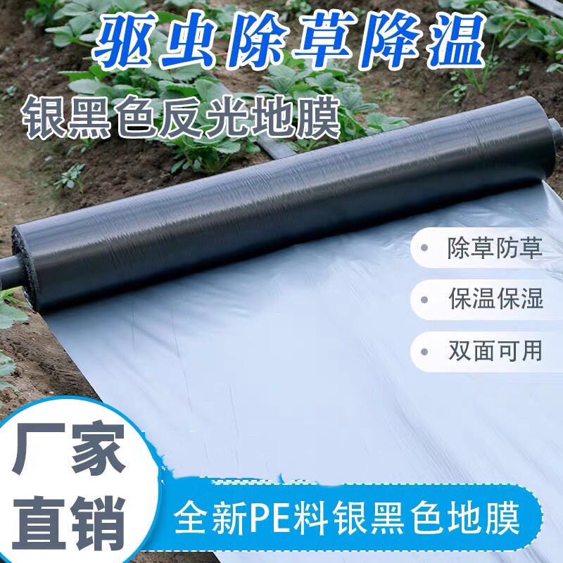 速发果树园银棚保温湿塑天农用反光除草银灰双色大黑地膜胶纸夏料