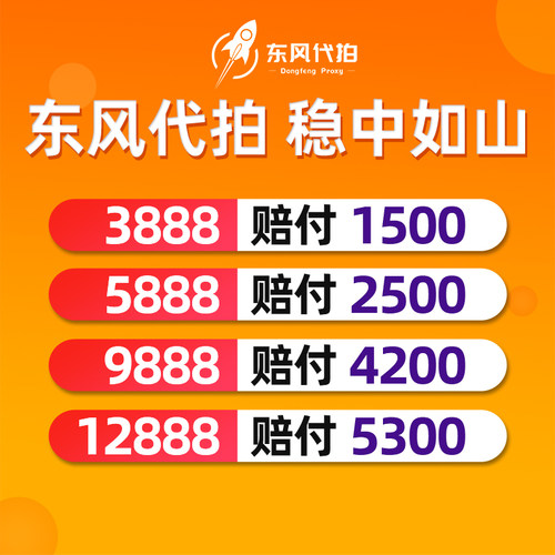 沪牌代拍一对一代拍高中标率