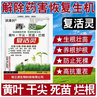 复活灵叶面肥黄叶抗病毒烂根生根重茬死苗复活枯萎通用型水溶肥料