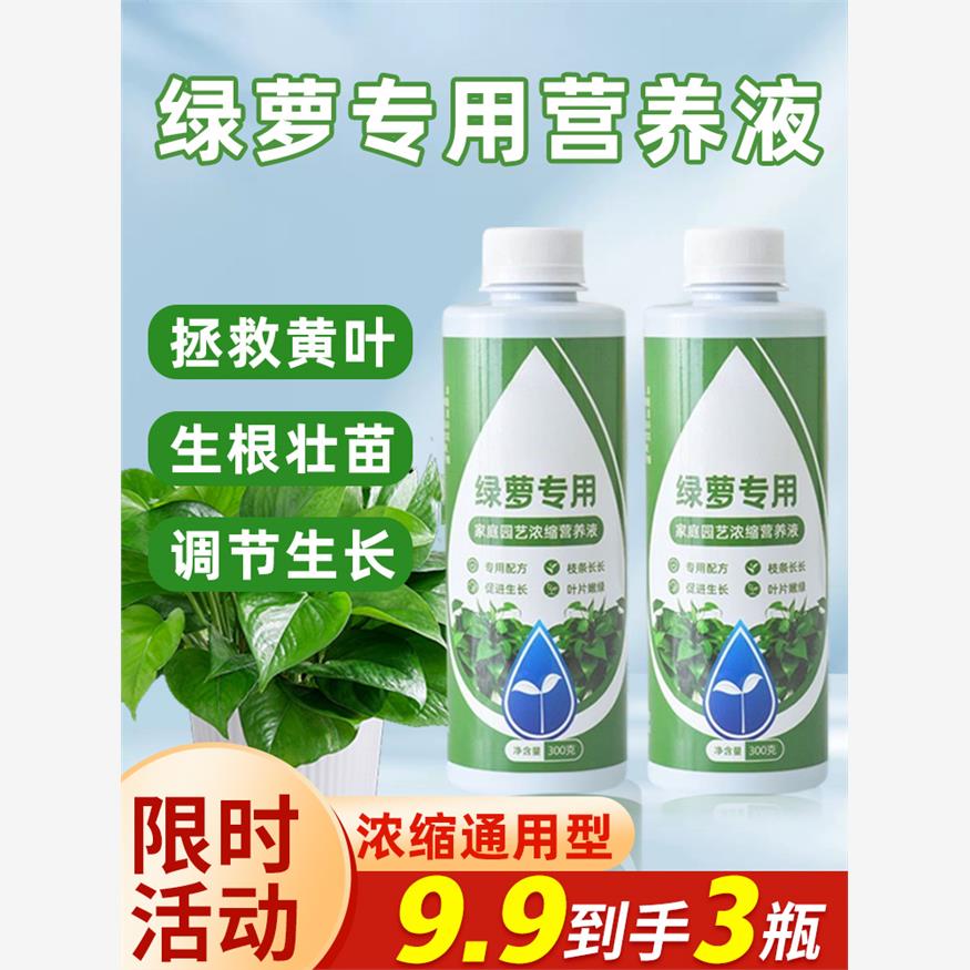 绿萝营养液专用肥料家用植物盆栽吊兰水培通用型绿箩营业液叶面肥