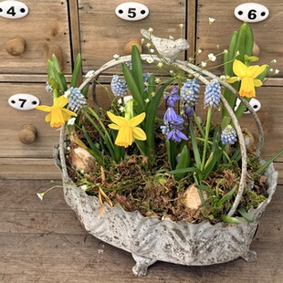 日系铁艺包菜花盆花园装饰杂货球根组盆外贸庭院摆件复古