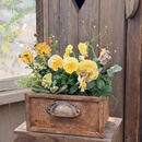 铁艺抽屉锈色做旧花园杂货装 饰摆件草花套盆植物组盆花盒复古