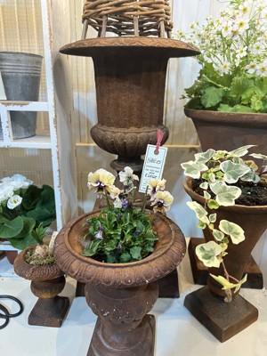 日系花插祝福卡片花店花牌