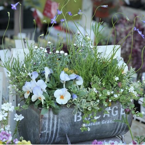 日系铁艺长条花盆组合花盆杂