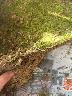 椰丝花盆铺面装饰透水透气园艺椰棕丝覆盖青苔藓剪刀麻布核桃壳