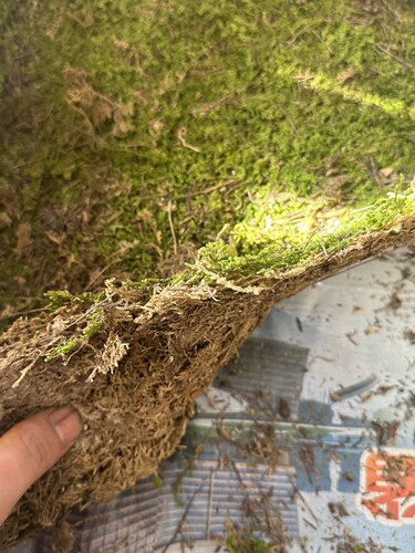 椰棕丝花盆装饰青苔覆面