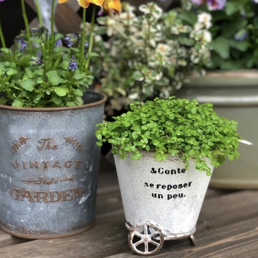 ins网红花盆铁皮小推车