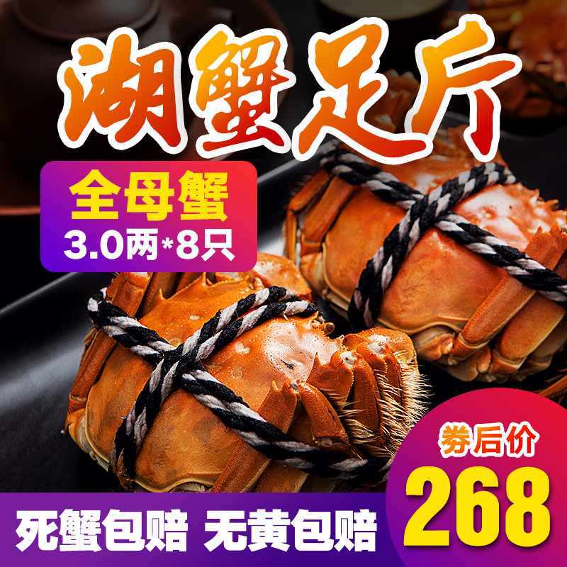【现货】女山湖大闸蟹鲜活特大螃蟹送礼全母3.0两净重8只礼盒装|msdalam kategori daging perikanan/Buah-buahan segar dan sayur-sayuran/dimasak, makanan laut/produk akuatik/produk, ketam, ketam - dari Buy2taobao.com untuk memberikan perkhidmatan ejen Taobao profesional membeli