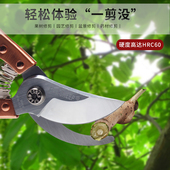 五羊 果剪修花艺剪粗枝 修枝剪剪刀树枝修枝园艺剪园林果树高空剪