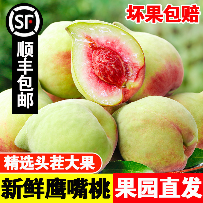 新鲜现摘鹰嘴桃子顺丰脆甜5当应季时令水果整箱非水蜜血黄桃毛桃